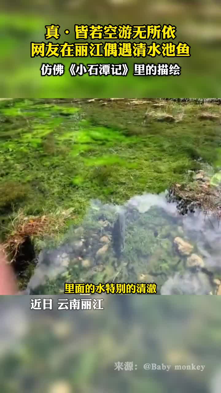 真皆若空游无所依