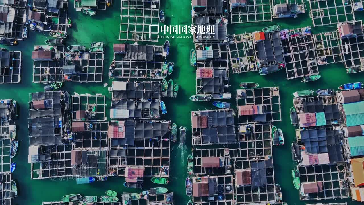 你见过飘在海上的村落吗在海南陵水疍家人们凭借智慧和魄力扎根海上建造出鳞次栉比相互依存的渔排也在独特的生活环境中发展出了极具特色的民俗民风他们自由如海风谱写着海上传奇令人敬佩赞叹