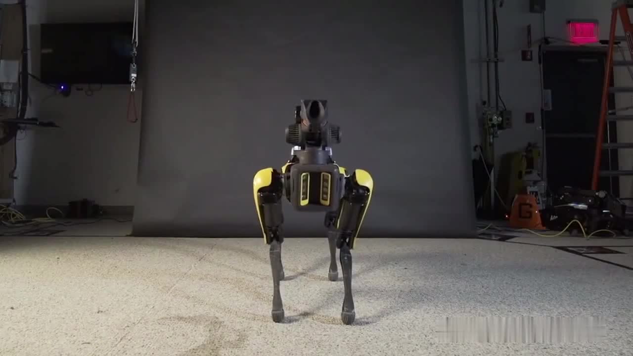 不得了这狗狗已经升级到如此程度看它得瑟的抖音小助手