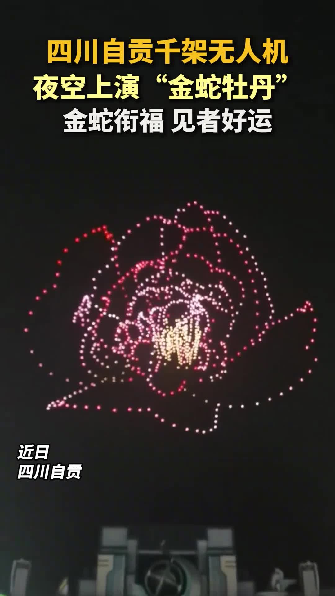 金蛇衔福见者好运千架无人机夜空上演金蛇牡丹大象新闻