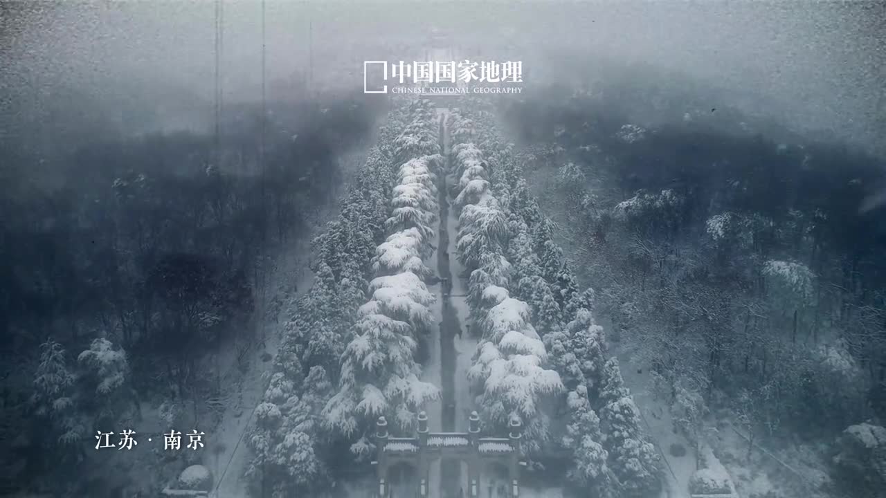 不敢忘不能忘不会忘今年是南京大屠杀死难者国家公祭日设立十周年历史的悲风呼啸而至血与泪的长卷渐次铺展那是民族不可忘却的伤痛记忆警报再次响起提醒着华夏儿女铭记历史珍爱和平