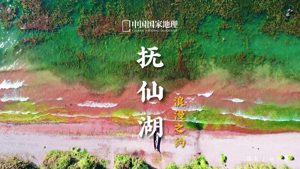 任何事情终有答案匆忙寻找将会错失岁月的静好