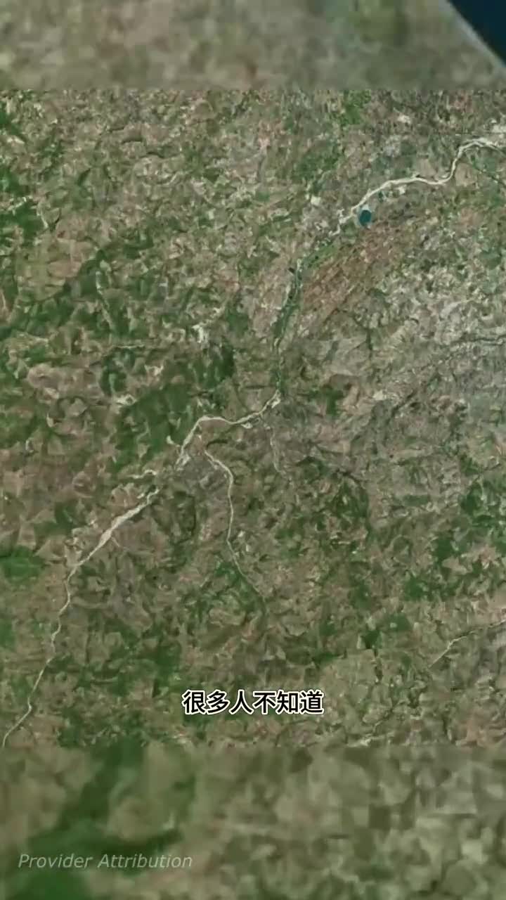 二战时唯一向中国向世界宣战的国家