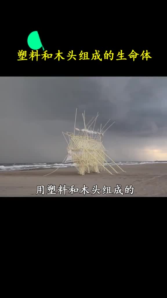 用木头和塑料组成的生命体不需要电也能动