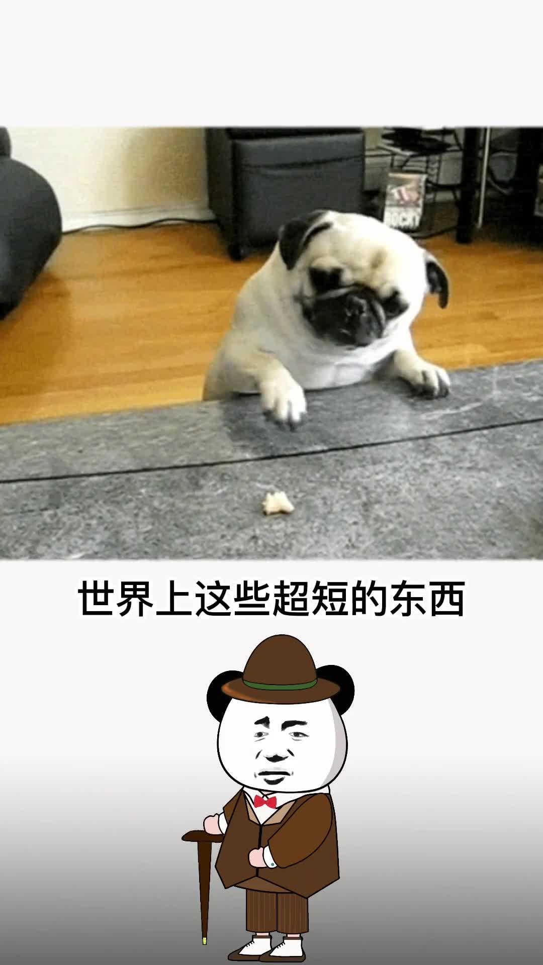 盘点世界上最短的东西你知道还有什么吗