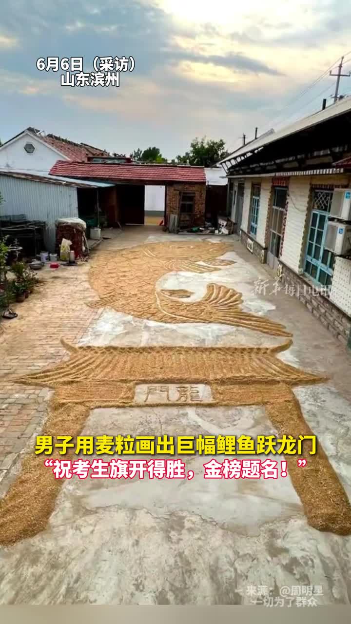 男子用麦粒画出巨幅鲤鱼跃龙门祝考生旗开得胜金榜题名