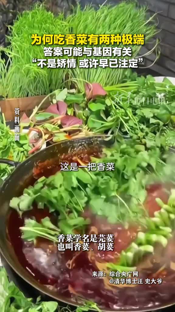 香菜为何有人爱得深沉有人闻到都恶心研究发现答案可能与基因有关