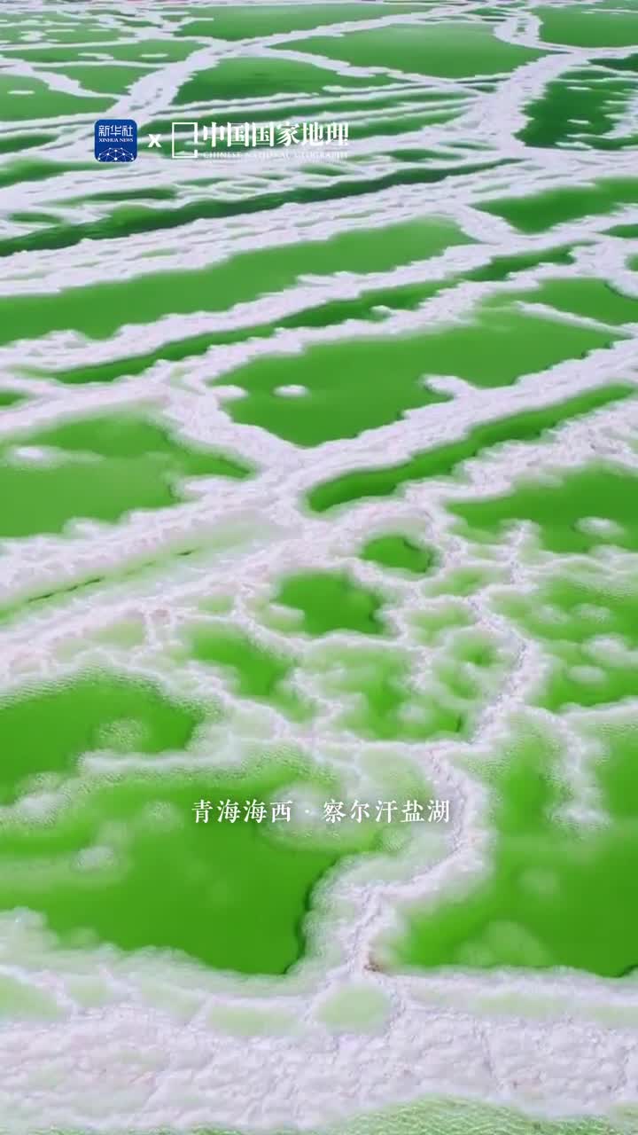 察尔汗盐湖是中国最大的盐湖位于柴达木盆地这里蕴含着丰富的食盐钾镁是盐的世界总面积为5856平方公里各类盐资源总储量达600亿吨有无机盐宝库之称