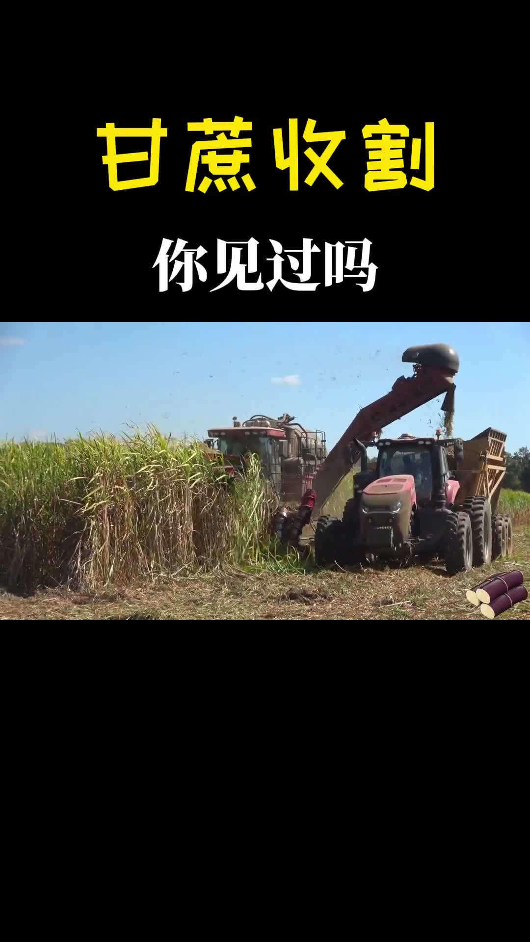 为什么甘蔗收割机前面有一排螺旋杆谁发明的真是太聪明了