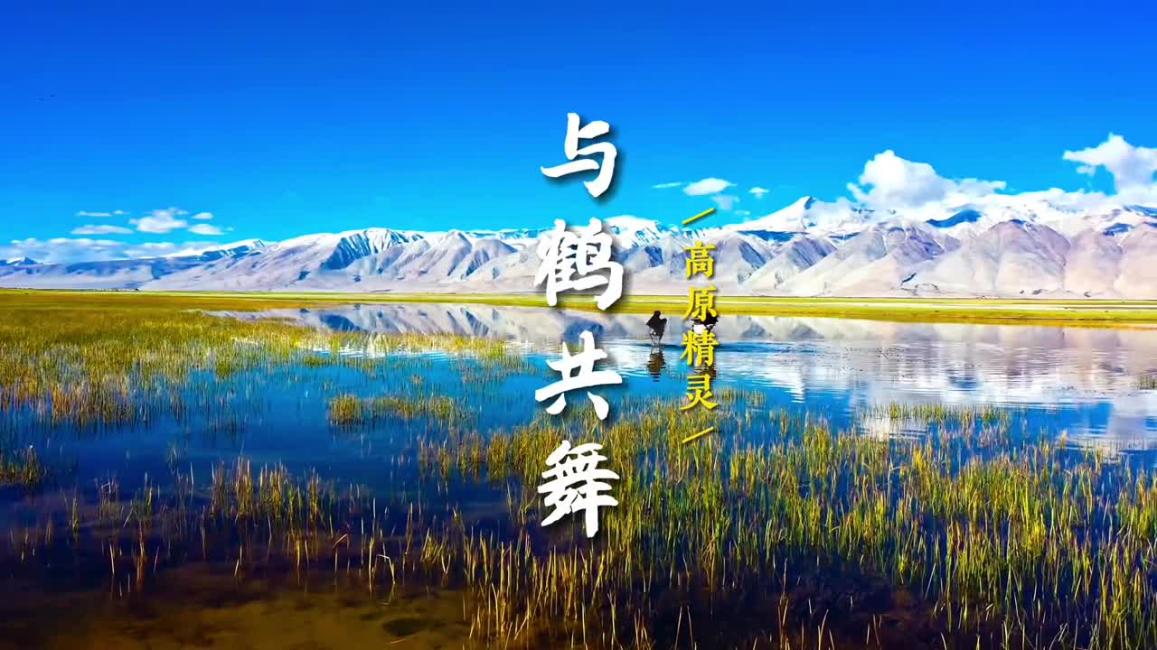 今天是