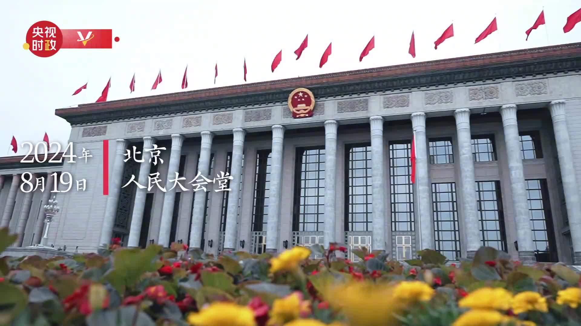 独家视频丨彭丽媛同越共中央总书记国家主席夫人吴芳璃茶叙