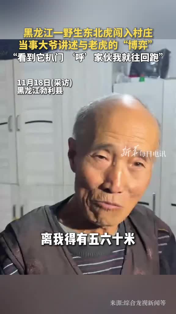黑龙江一野生东北虎闯入村庄当事大爷讲述与老虎的博弈看到它扒门呼家伙我就往回跑