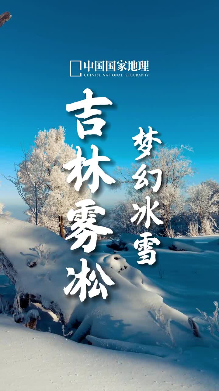 吉林雾凇天下奇吉林雾凇与桂林山水云南石林长江三峡被称为中国四大自然奇观雾凇不是雪也不是冰而是树枝上挂的霜松柳凝霜挂雪戴玉披银如朵朵白云排排雪浪十分壮观