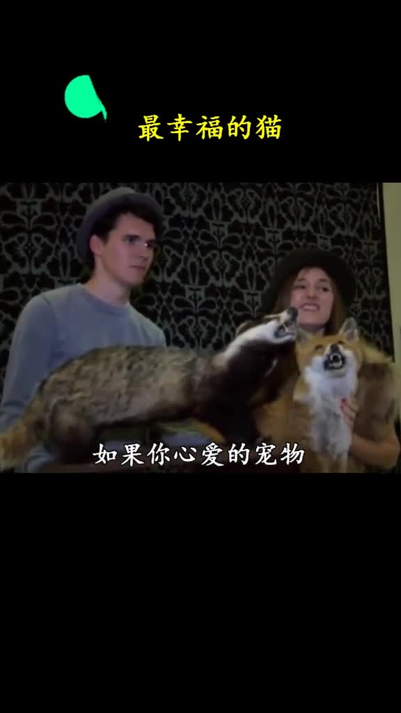 快看鸵鸟在天上飞