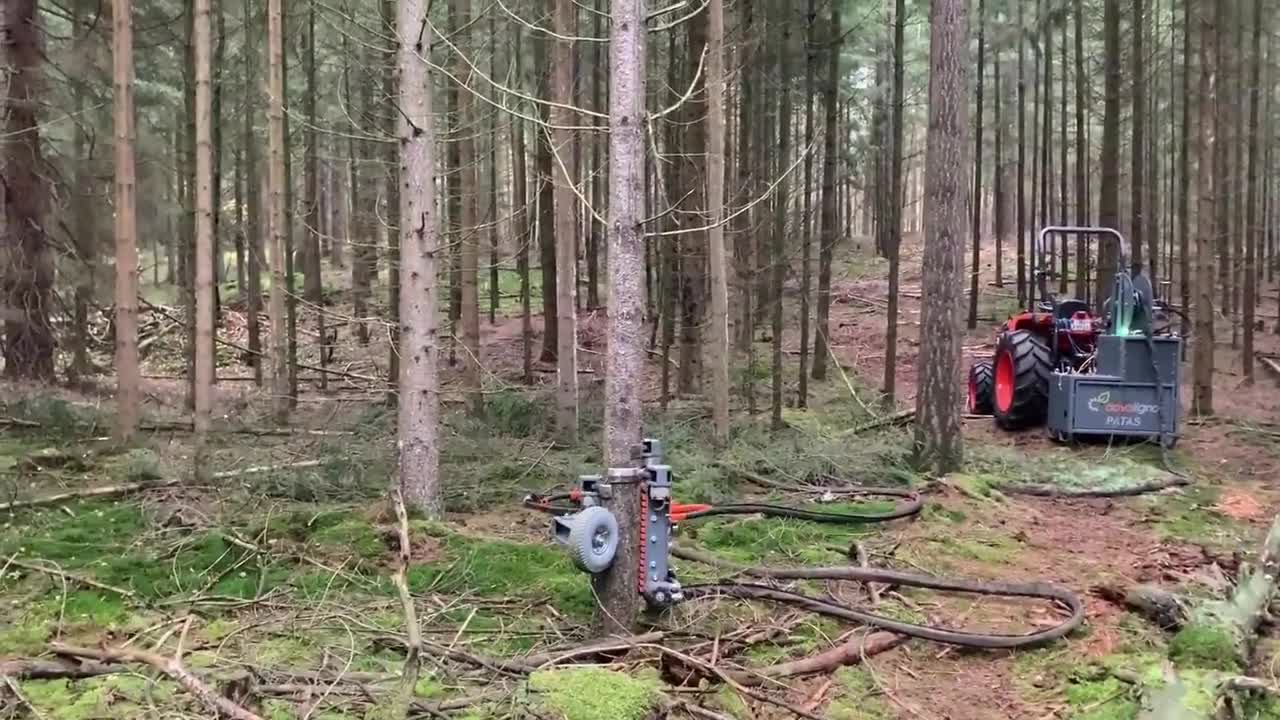 不可思议的林业机械第一个跟穿天猴一样爬上去树枝全撸下来了