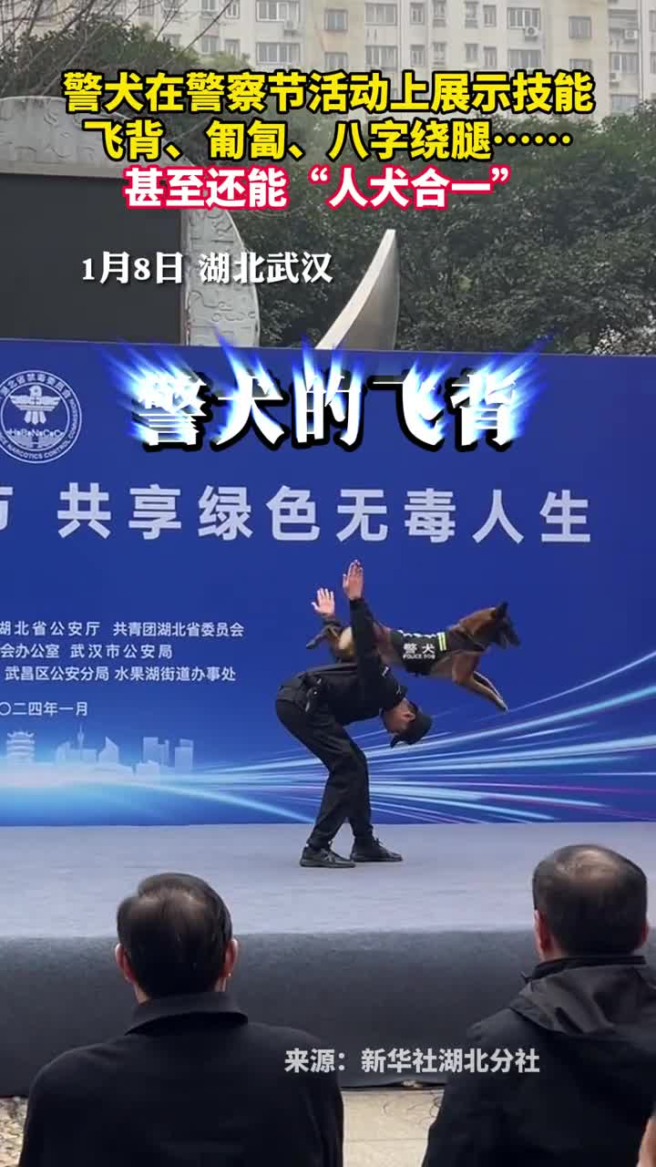 警犬在警察节活动上展示技能飞背匍匐八字绕腿甚至还能人犬合一
