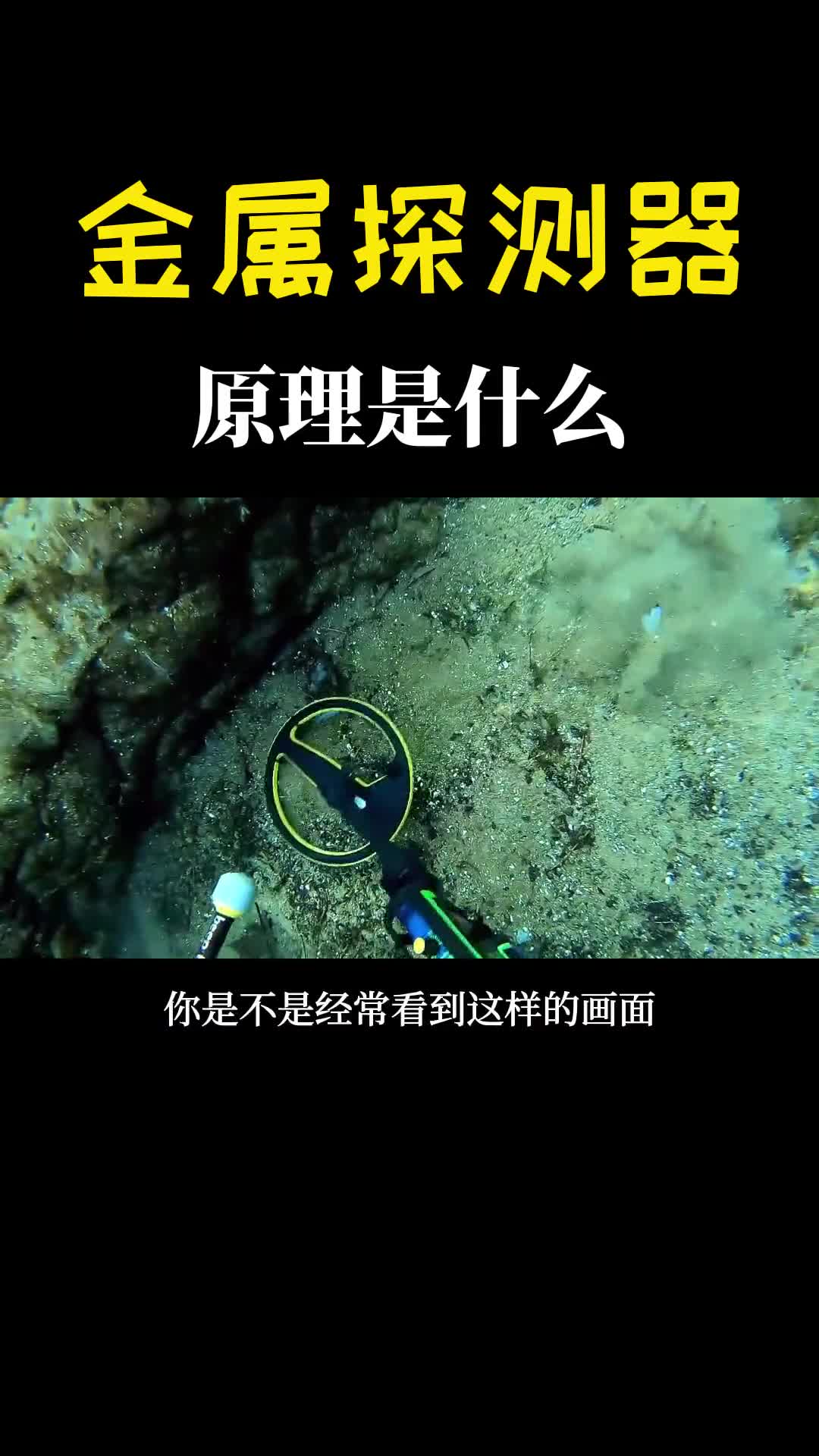 为什么金属探测器知道地下藏有宝贝原理是什么