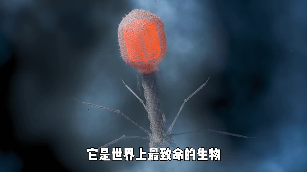 它是世界上最致命的生物如今却被人类主动注射到身体中