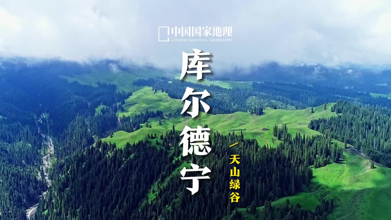 你们想看的新疆伊犁库尔德宁来了还想看哪里评论区告诉我吧