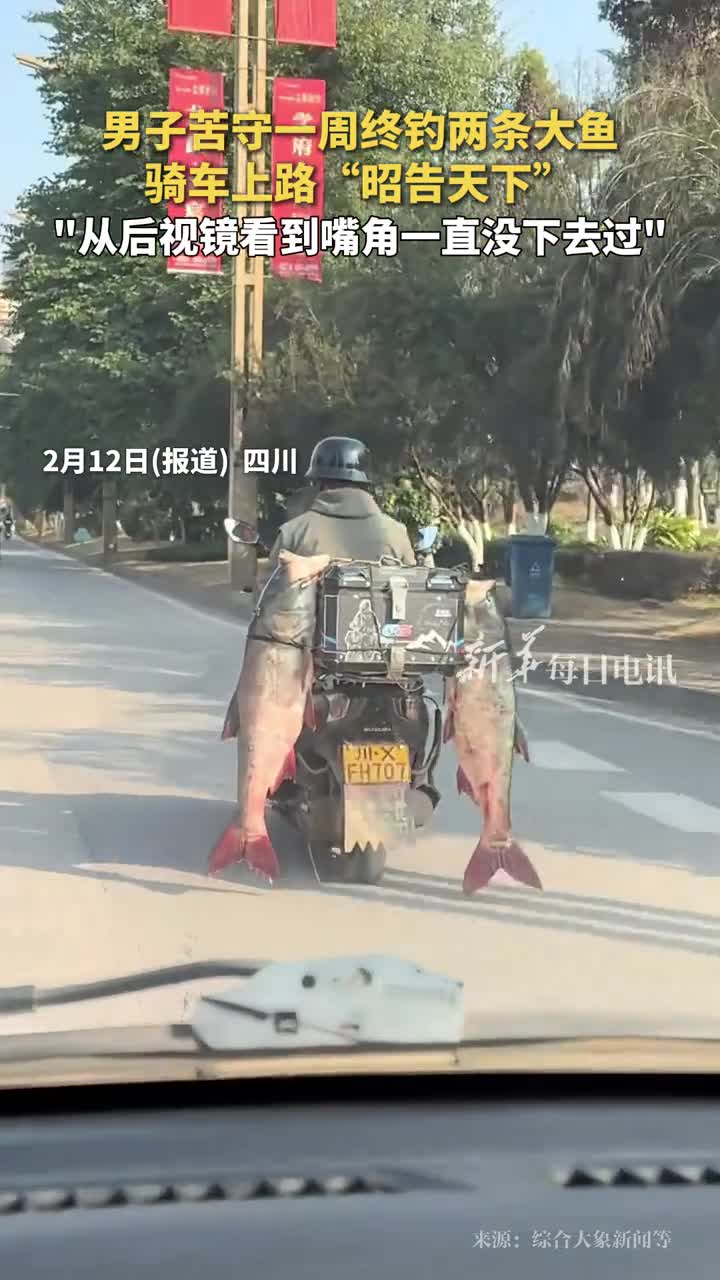 男子苦守一周终钓两条大鱼骑车上路昭告天下从后视镜看到嘴角一直没下去过