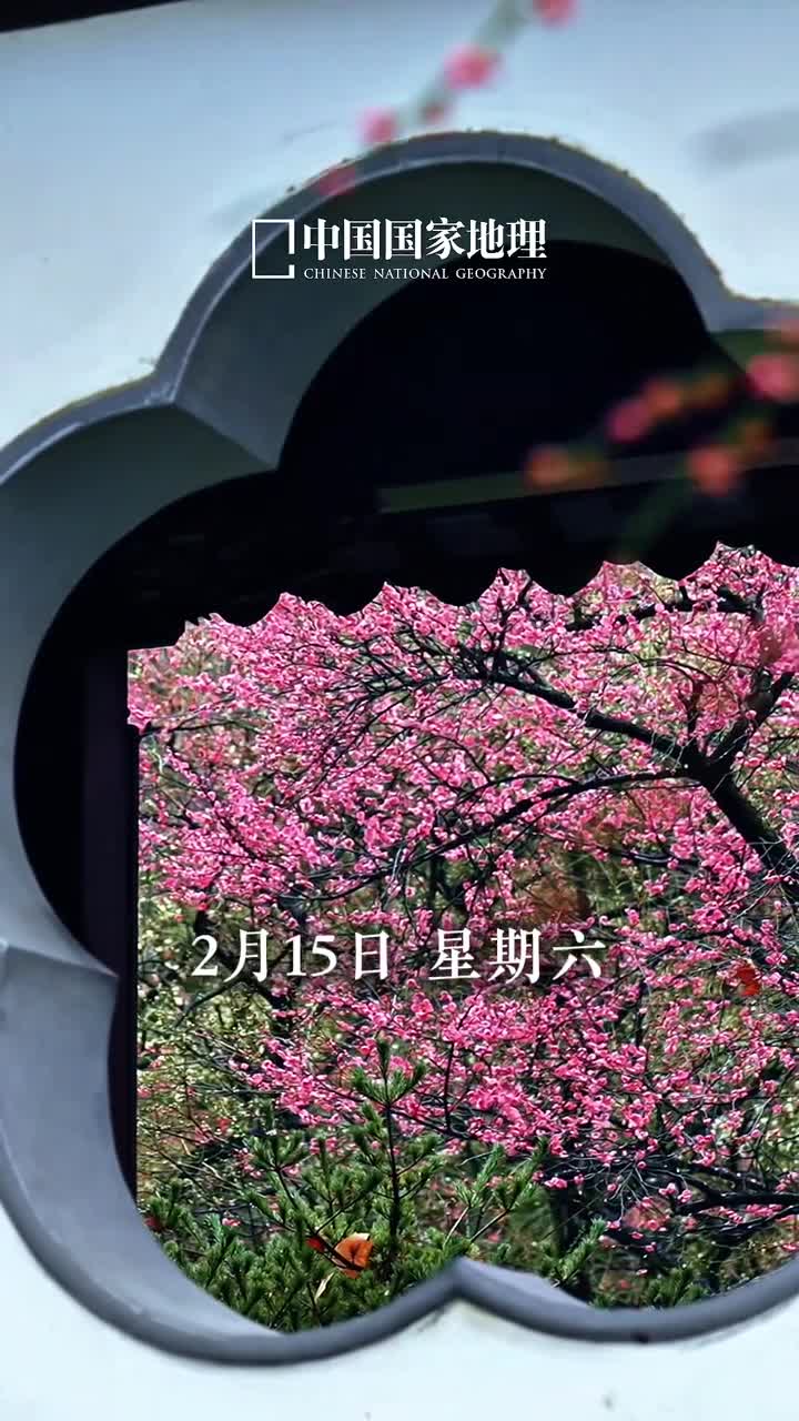 周末愉快愿你远离忙碌感受生活的纯粹美好今天是2025年2月15日乙巳年正月十八星期六周末了远离忙碌去郊外赏梅或者在家煮茶让身心在自然中放松感受生活的纯粹美好央视新闻