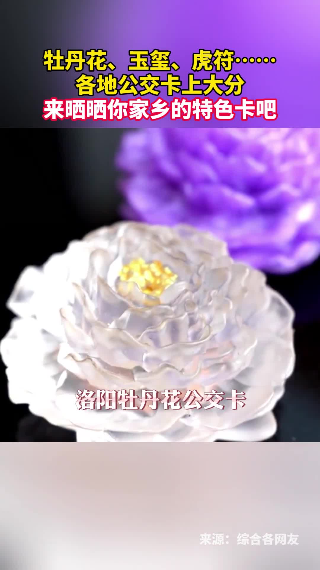 牡丹花玉玺虎符各地公交卡上大分来晒晒你家乡的特色卡吧