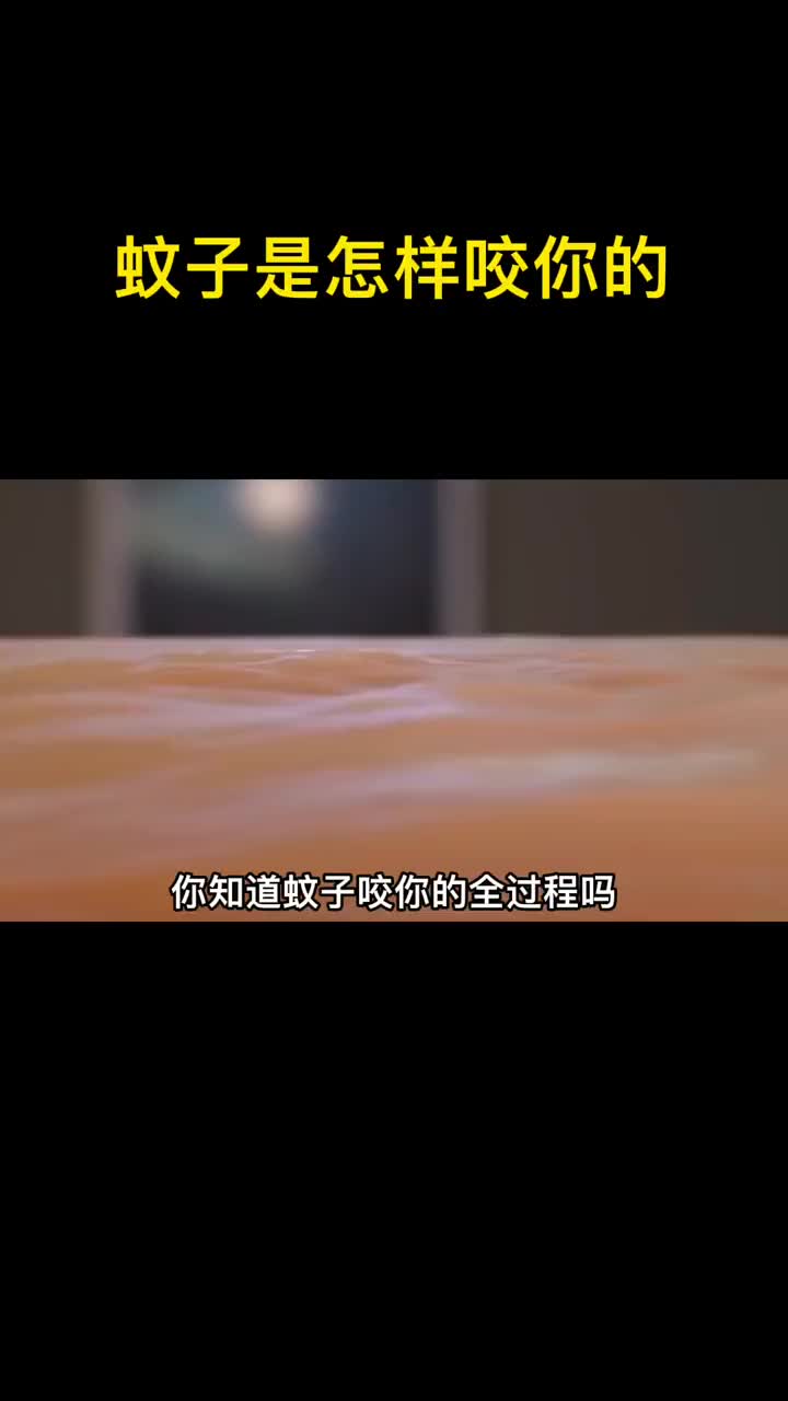 蚊子叮咬你的全过程说说目前为止这个夏天蚊子和你亲密接触了几次