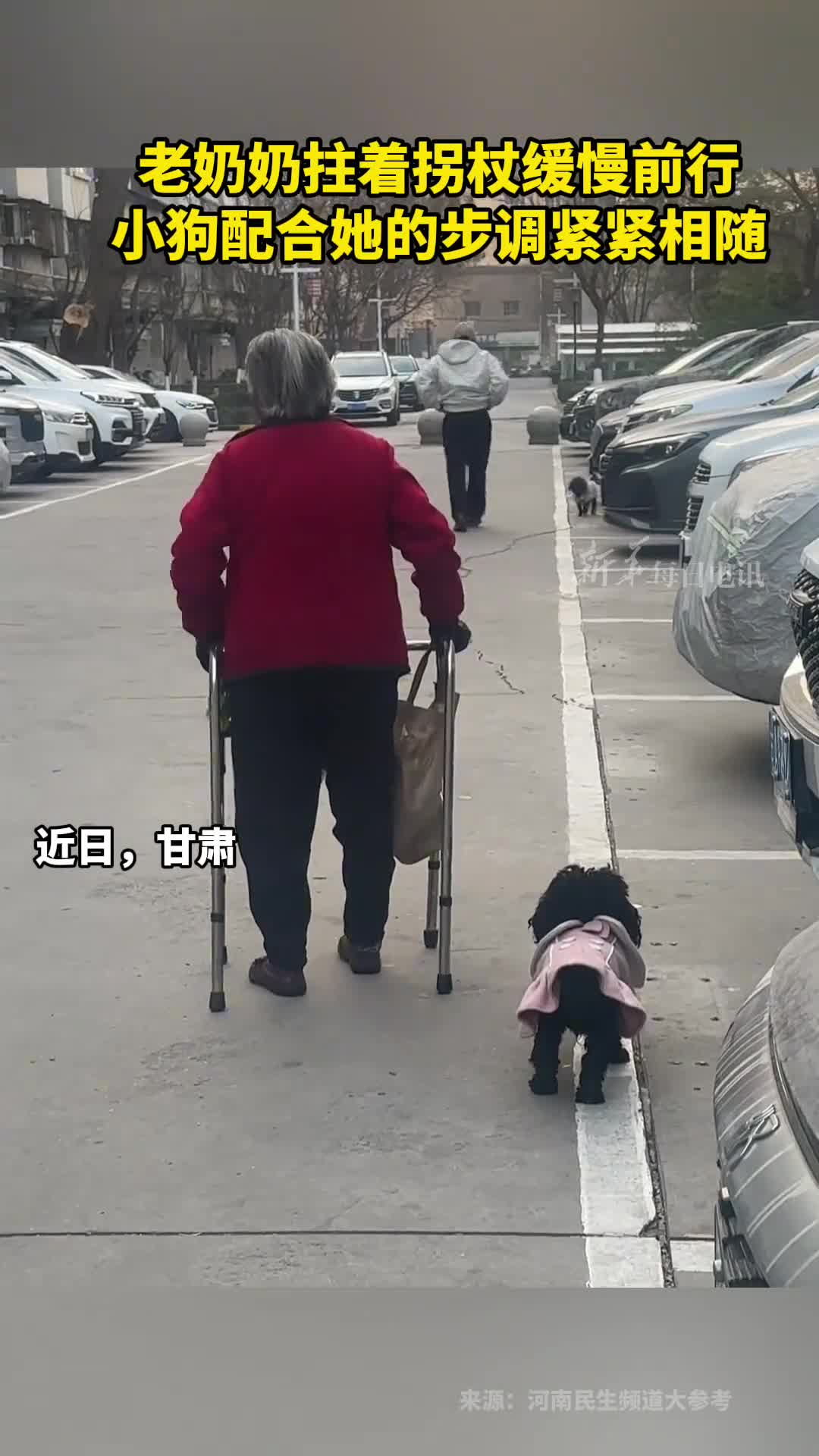 老奶奶拄着拐杖缓慢前行小狗配合她的步调紧紧相随