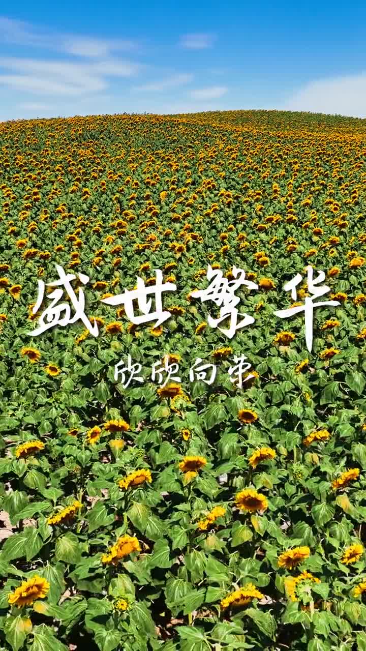 为什么我的眼里充满希望因为生长在沃野千里的大地上岁月峥嵘山河繁华愿祖国常春今天让地理君带你去看看中国的植被有多美