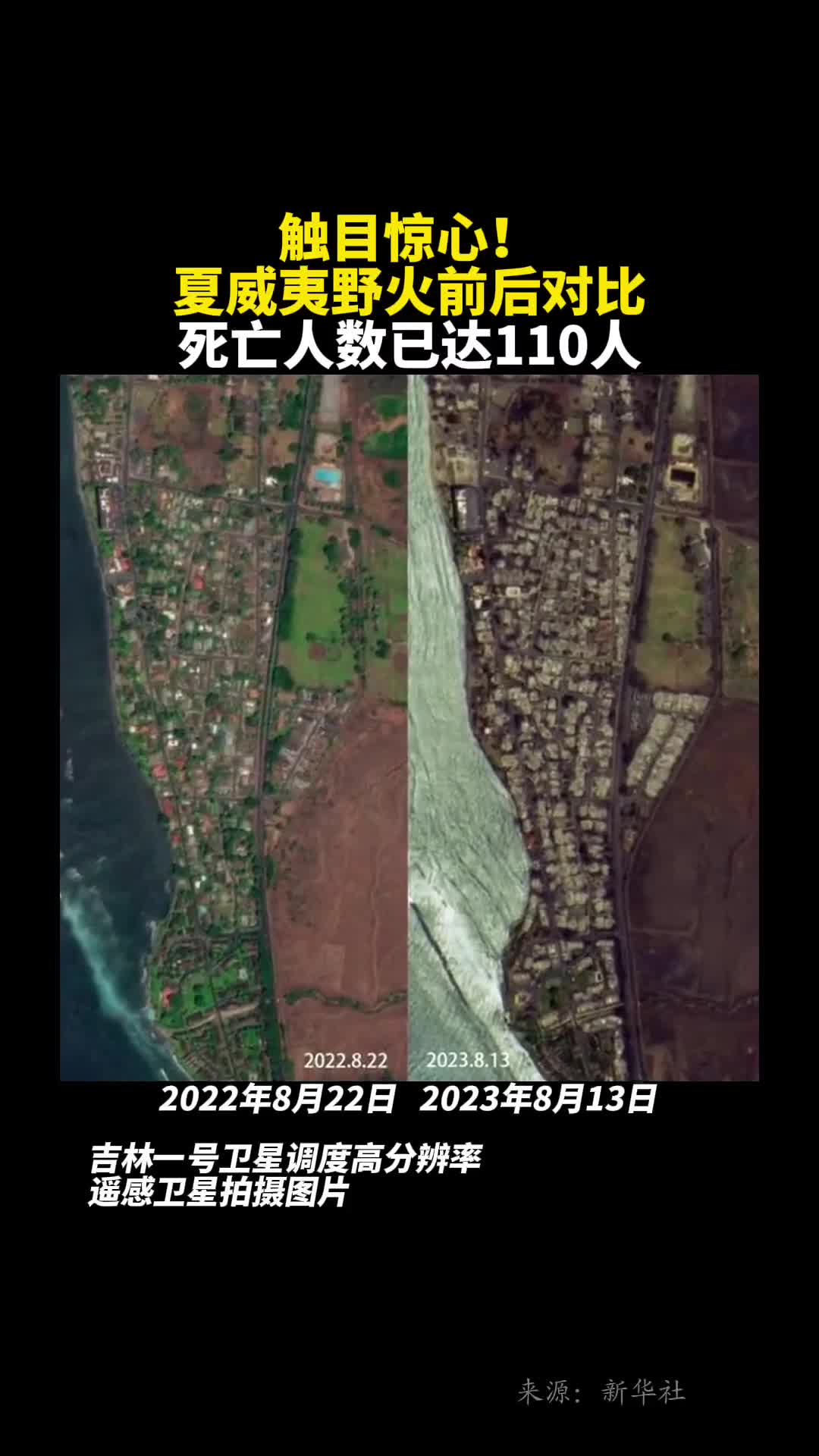 触目惊心夏威夷野火前后对比死亡人数已达110人