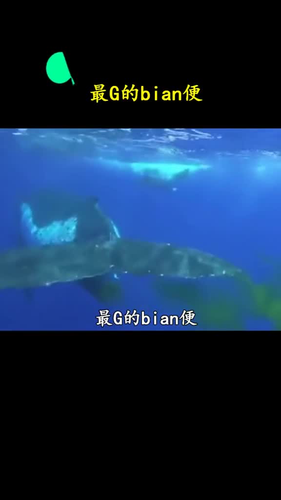 看来房子面朝大海还是有好处的