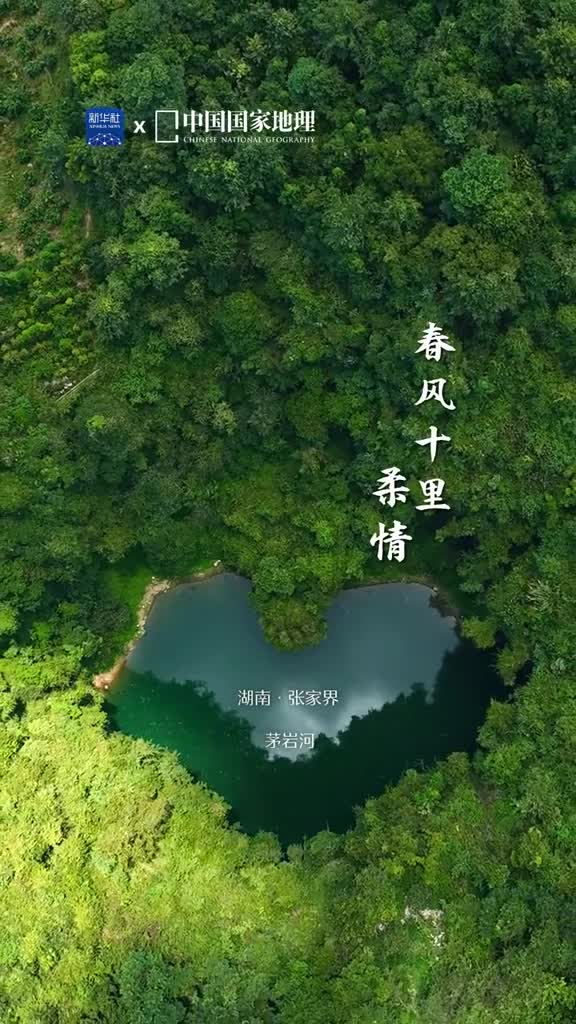 以爱之名予你诗情今天是情人节予你诗意的浪漫愿你有良人相伴且以熏风般绵长的爱意缱绻朝夕共赴年年