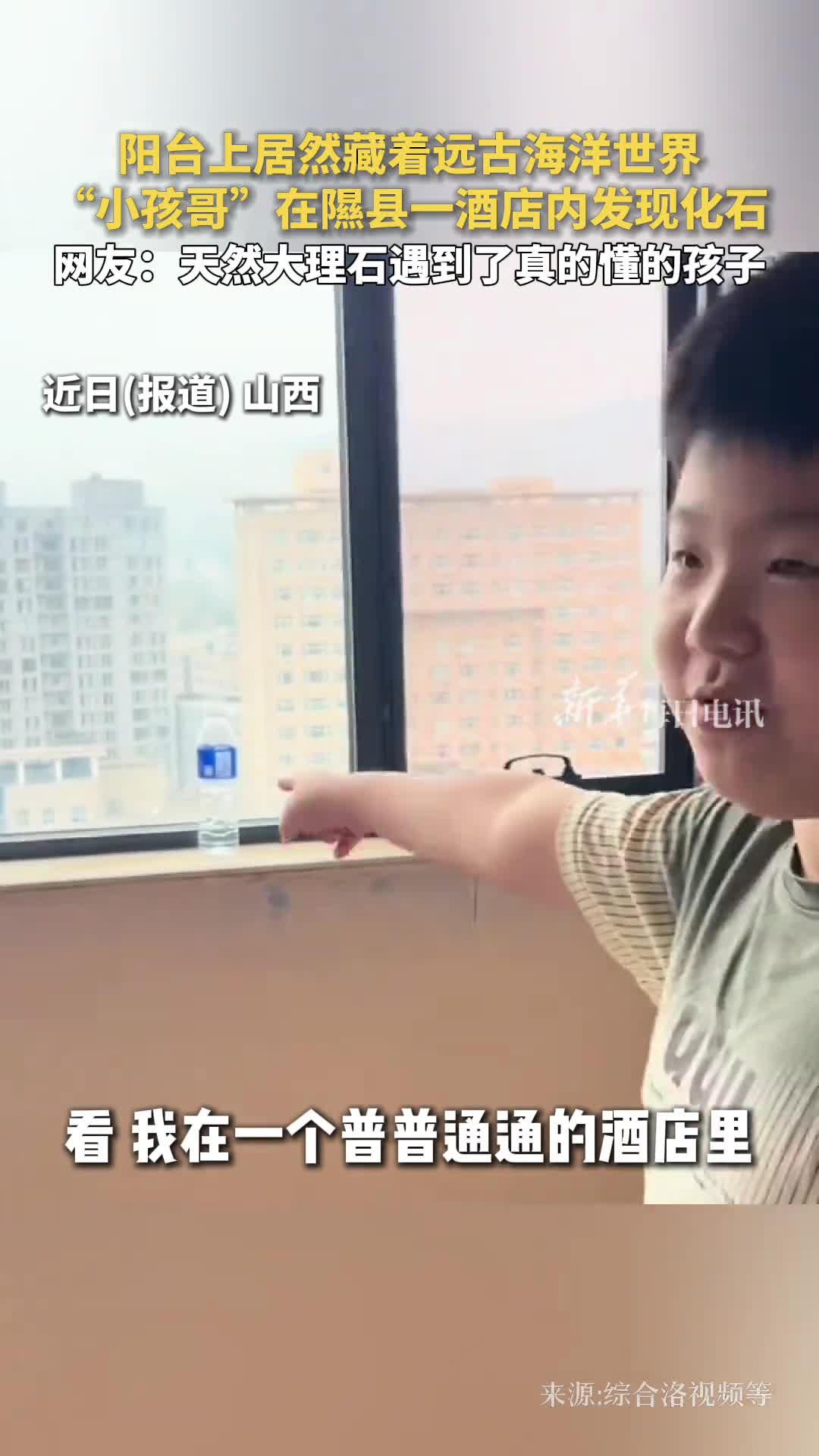 阳台上居然藏着远古海洋世界小孩哥在隰县一酒店内发现化石网友天然大理石遇到了真的懂的孩子