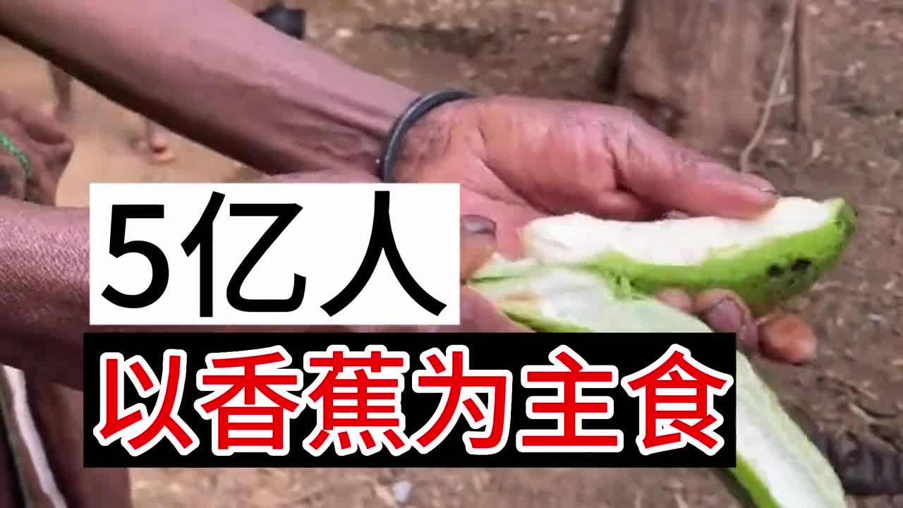 5亿人以香蕉为主食