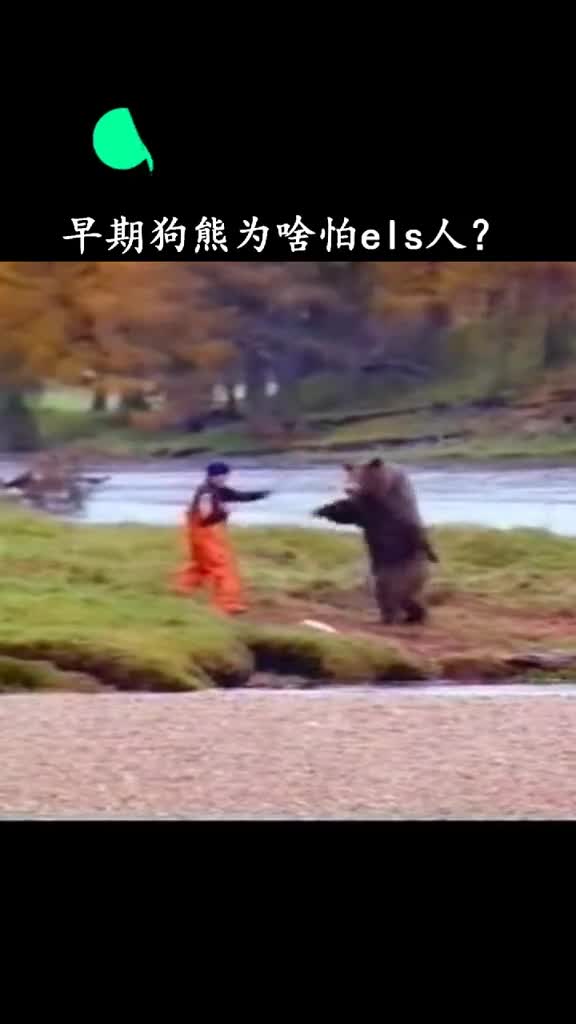 这下知道俄罗斯的狗熊为啥都那么怂了吧