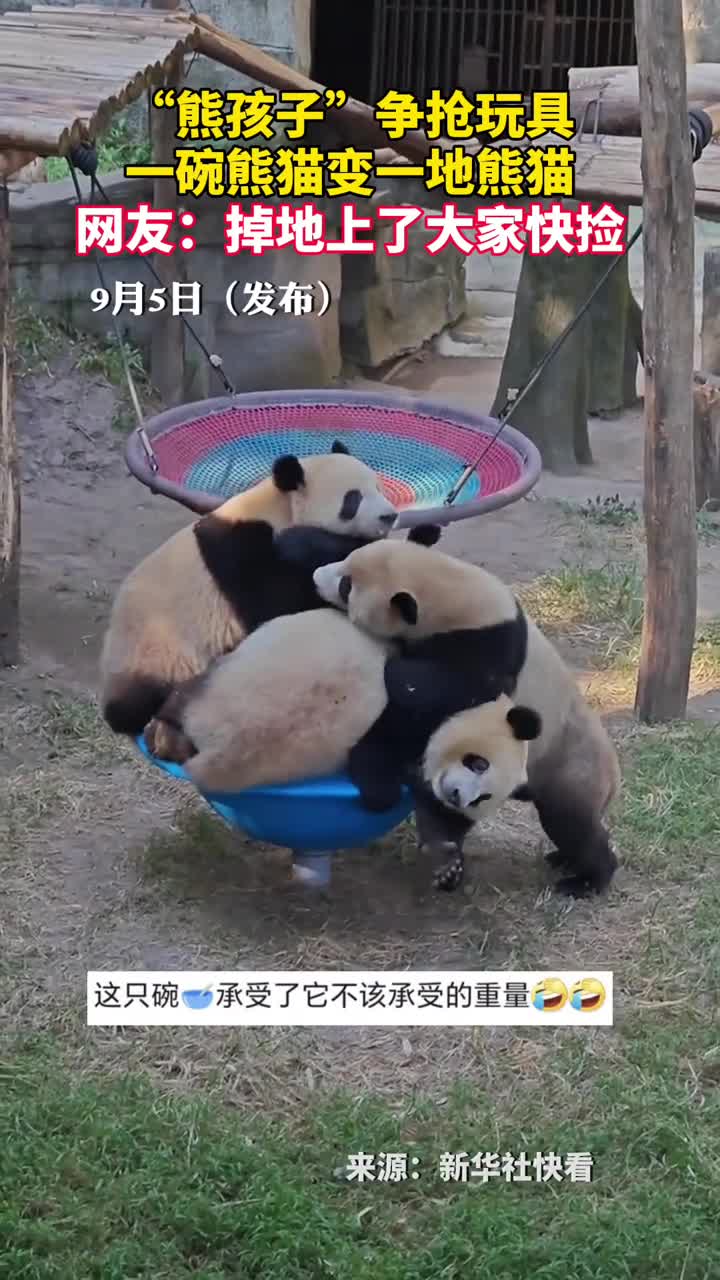 熊孩子争抢玩具一碗熊猫变一地熊猫网友掉地上了大家快捡