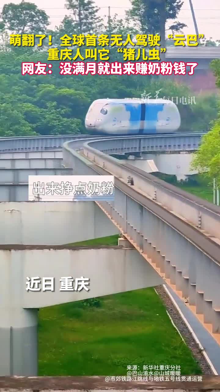 萌翻了全球首条无人驾驶云巴重庆人叫它猪儿虫网友没满月就出来赚奶粉钱了
