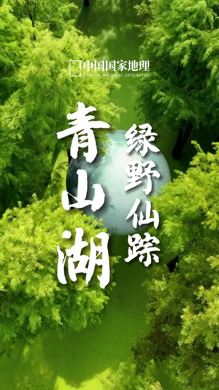 就算全世界都抛弃了你至少还有我陪着你