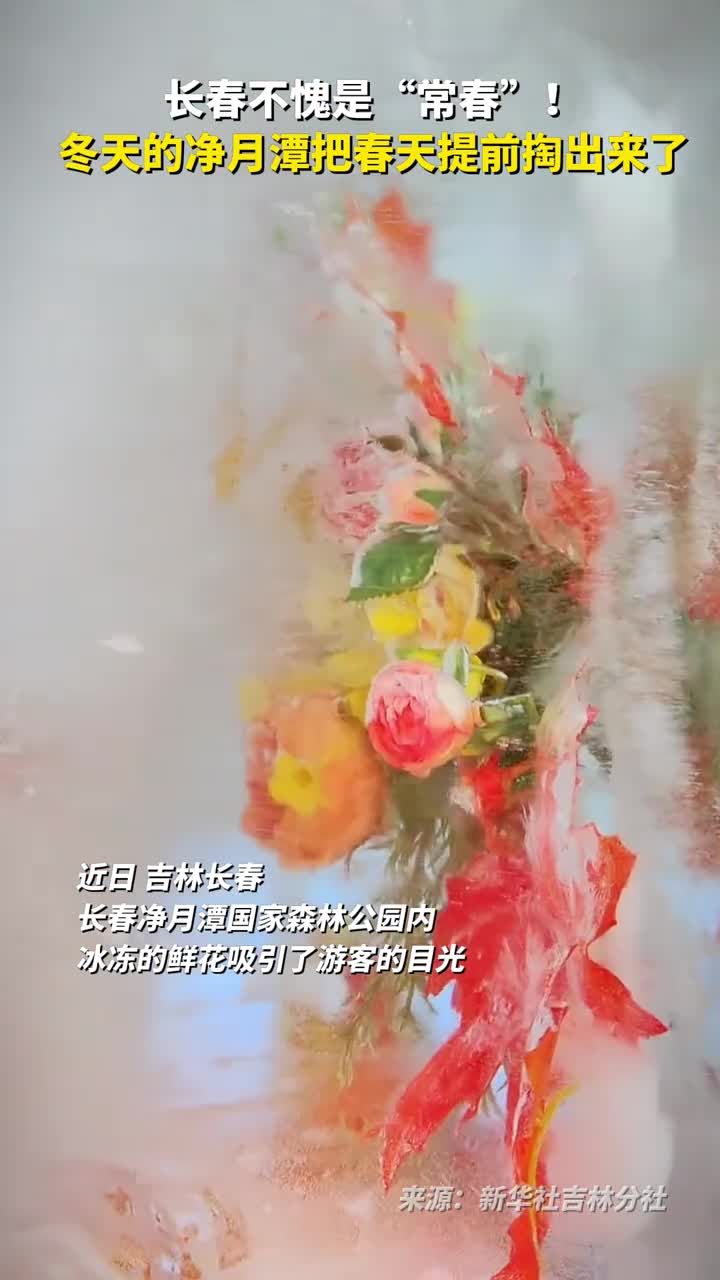 长春不愧是常春冬天的净月潭把春天提前掏出来了