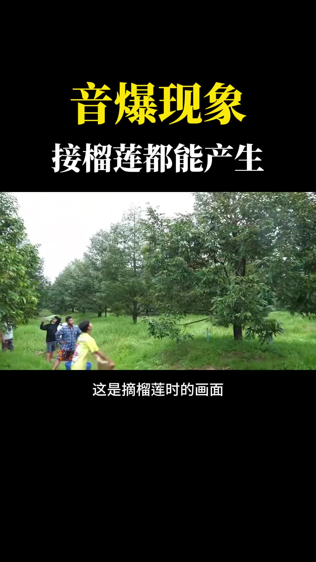 摘个榴莲都能砸出音爆真是不可思议原理是什么