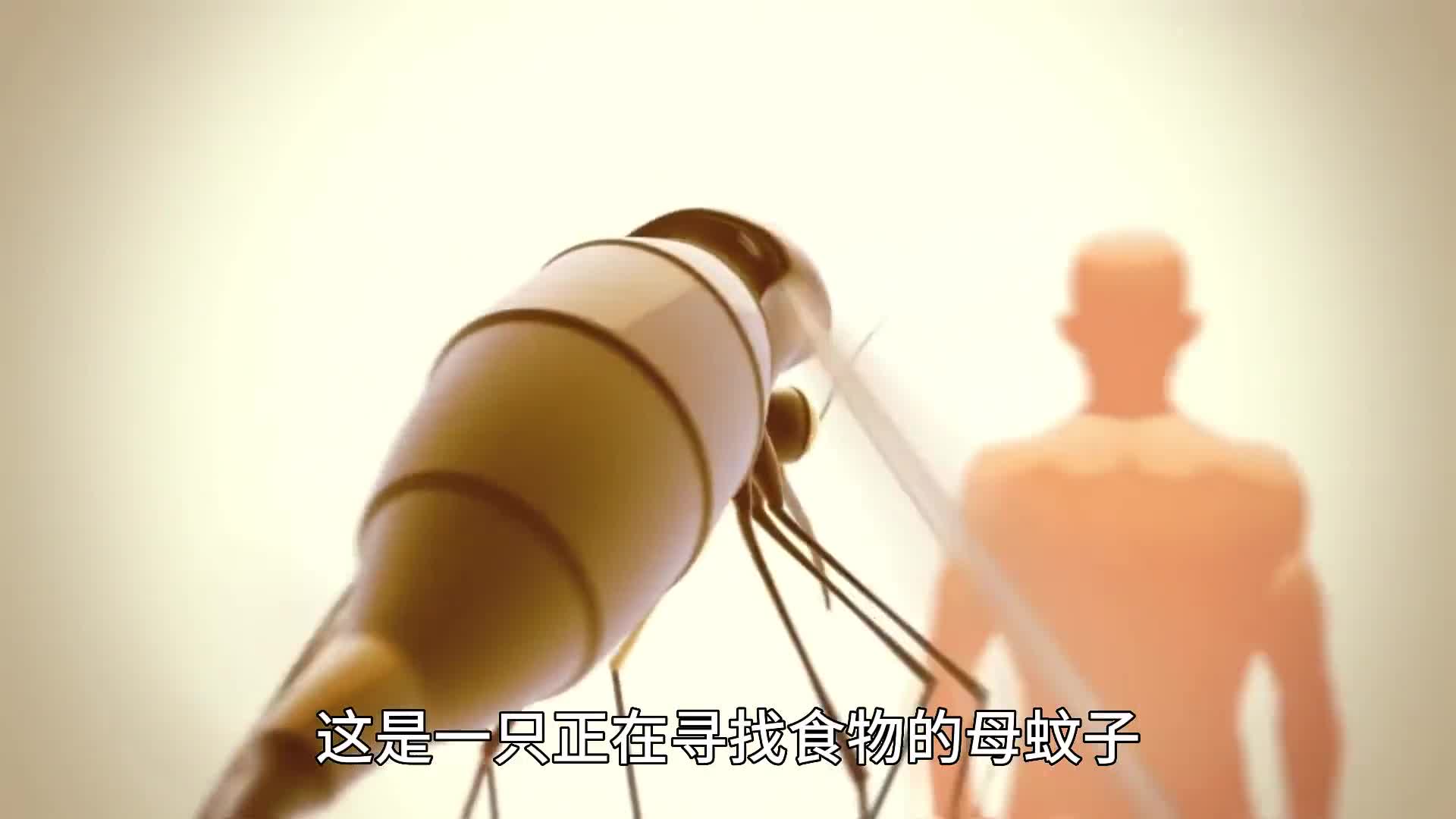 蚊子叮咬你全过程没想到蚊子为了吸口血要做那么多事