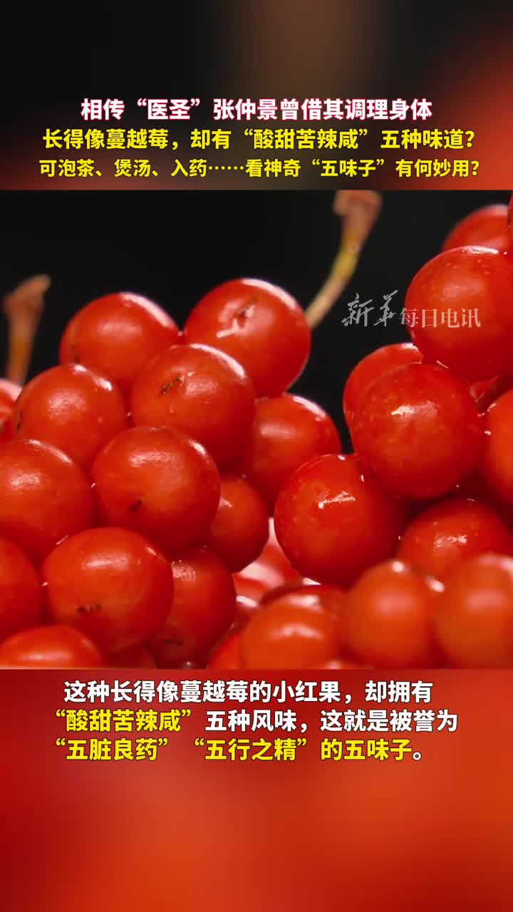 相传医圣张仲景曾借其调理身体长得像蔓越莓却有酸甜苦辣咸五种味道可泡茶煲汤入药看神奇五味子有何妙用