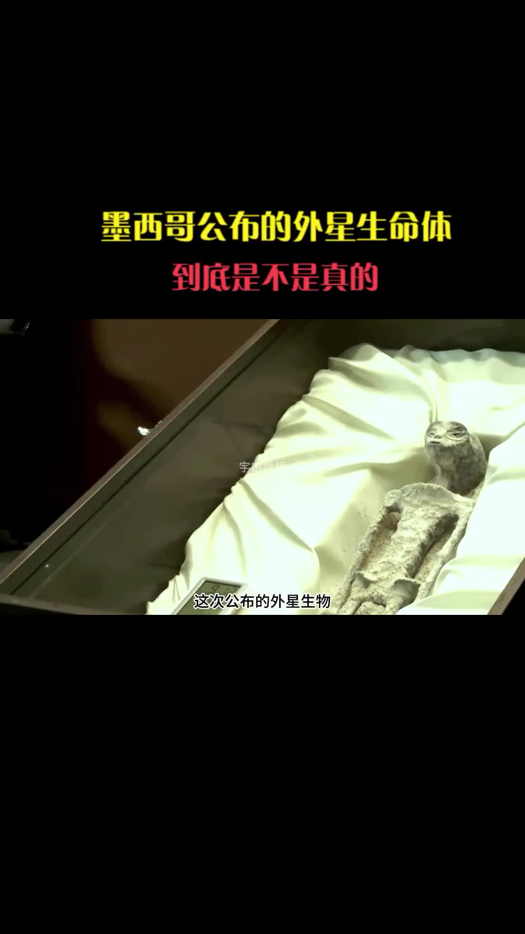 墨西哥公布的外星生命到底是不是真的