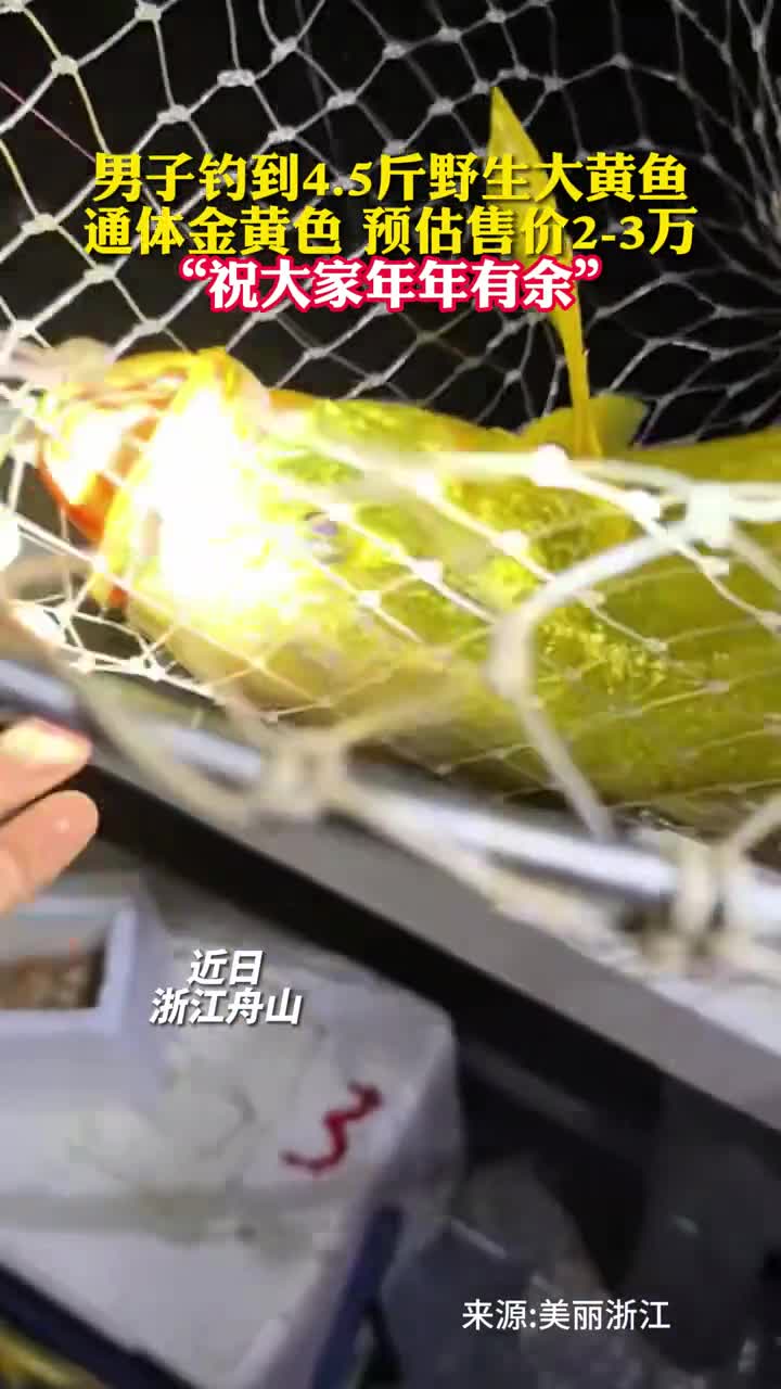 男子钓到45斤野生大黄鱼通体金黄色预估售价23万祝大家年年有余