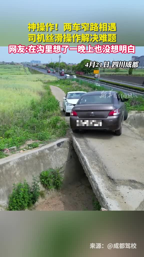 神操作两车窄路相遇司机丝滑操作解决难题