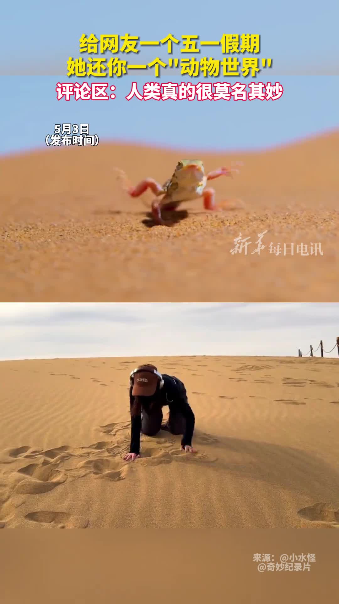 给网友一个五一假期她还你一个动物世界评论区人类真的很莫名其妙