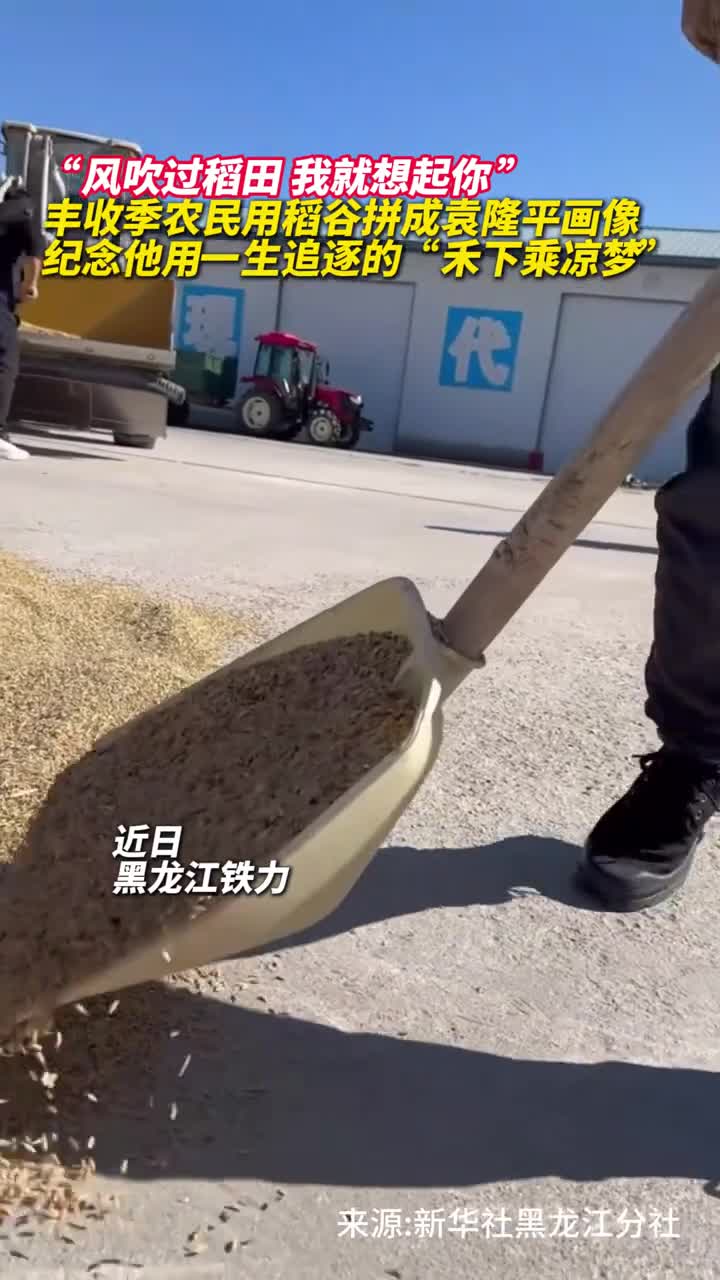 风吹过稻田我就想起你丰收季农民用稻谷拼成袁隆平画像纪念他用一生追逐的禾下乘凉梦