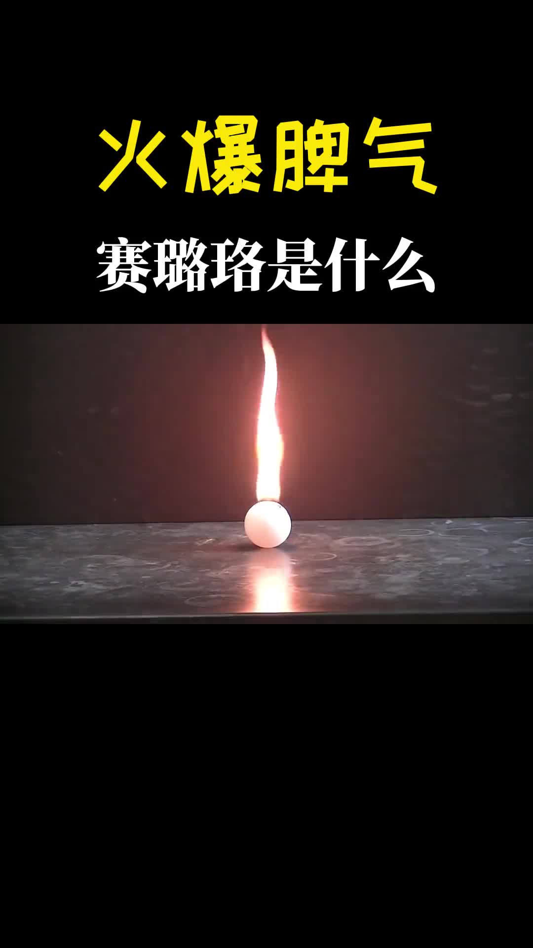 赛璐珞出了名的爆脾气飞机都不让它上去