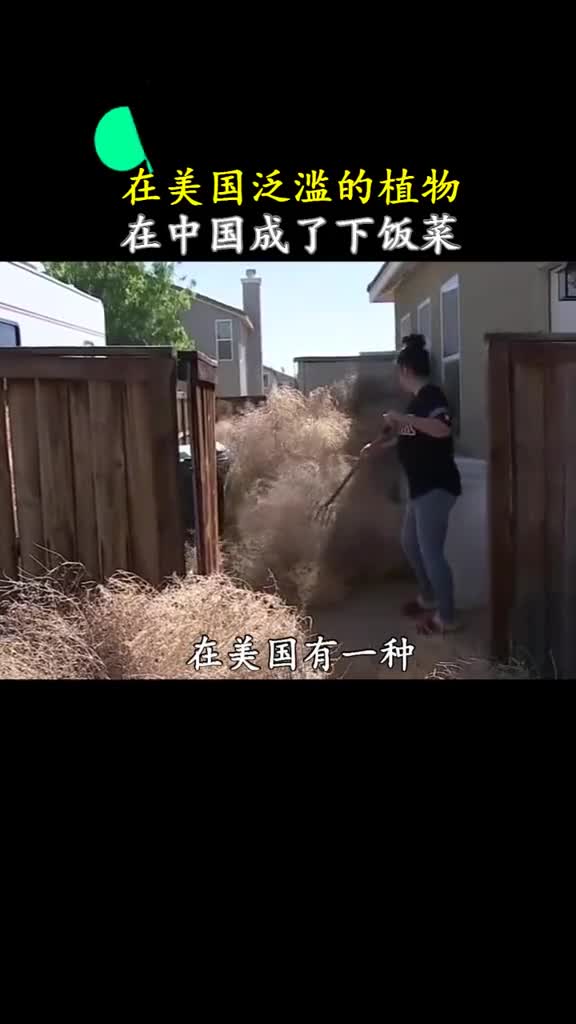 当世界上最嚣张的植物来到中国后画风突变
