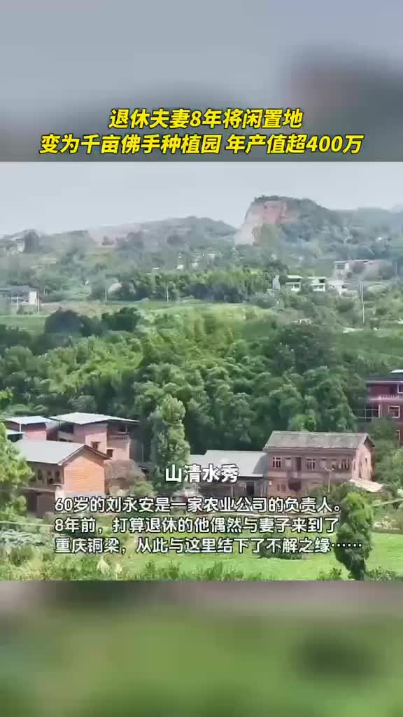 退休夫妻8年将闲置地变为千亩佛手种植园年产值超400万